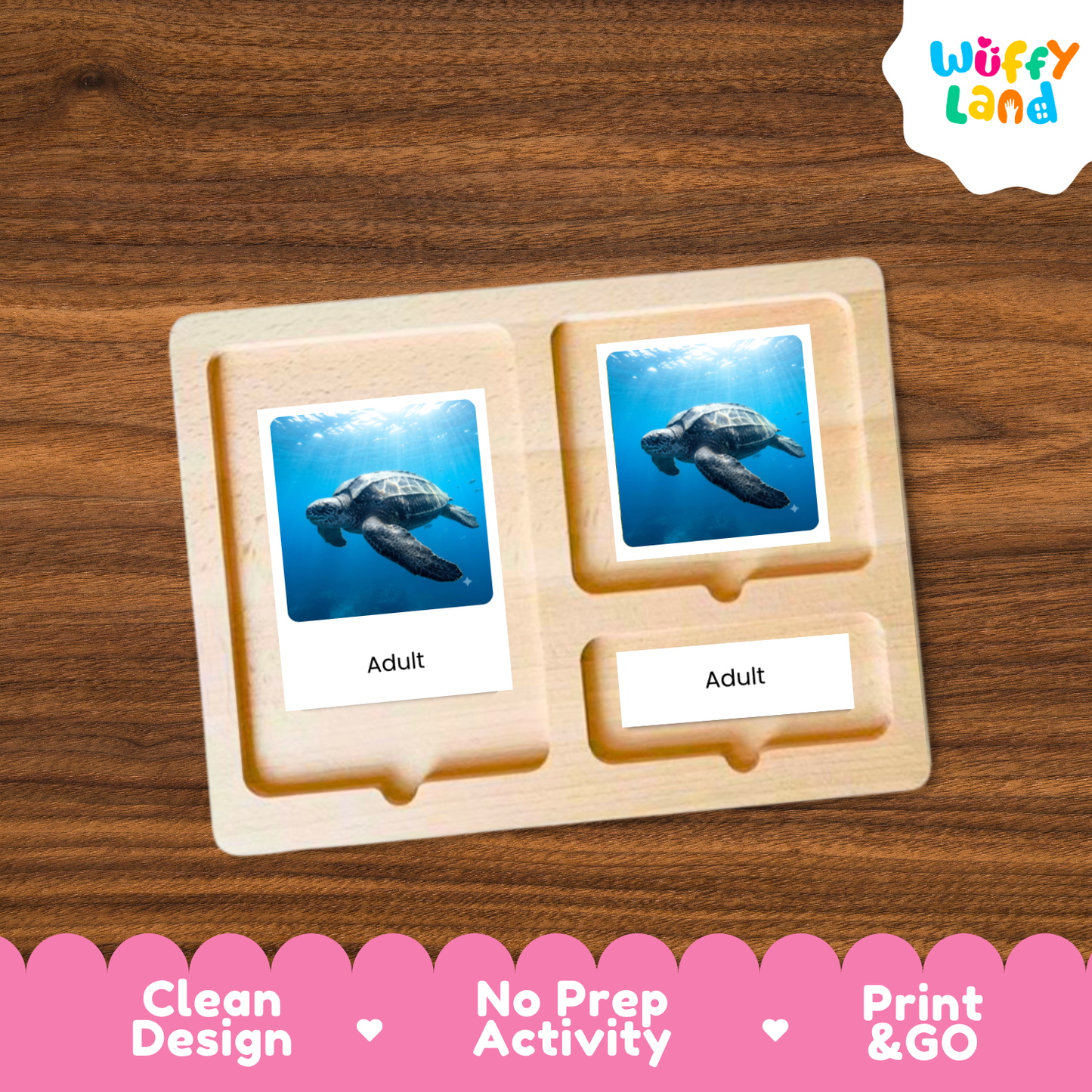 Leatherback Sea Turtle Life Cycle Flashcards 3 Part Cards Montessori Science Activity