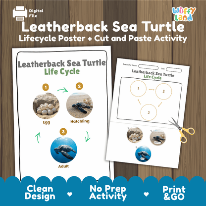 Leatherback Sea Turtle Life Cycle Poster and Cut and Paste Worksheet Activity