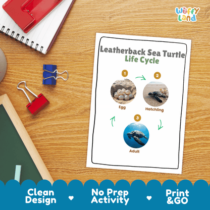 Leatherback Sea Turtle Life Cycle Poster and Cut and Paste Worksheet Activity