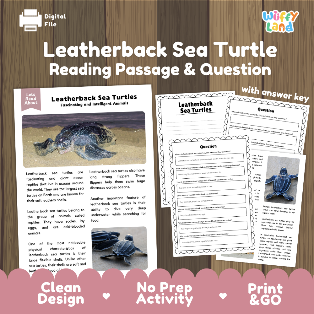 Leatherback Sea Turtle Reading Passage and Comprehension Questions Worksheets