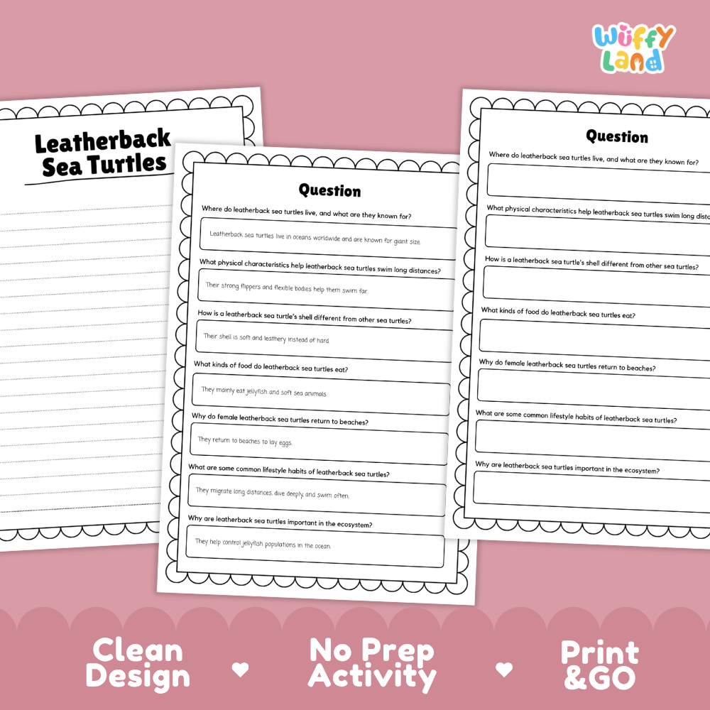 Three printable worksheet pages about leatherback sea turtles on a pink background, with text reading 'Leatherback Sea Turtles,' 'Question,' and 'Clean Design No Prep Activity Print & GO.' The top-right corner shows the brand name 'Wiffly Land.