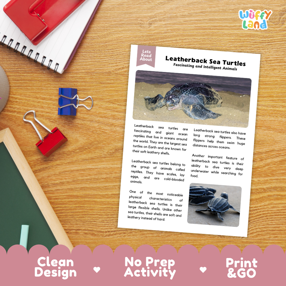 An educational activity sheet about leatherback sea turtles laid on a wooden desk, surrounded by school supplies like a spiral notebook, red binder clips, and a pencil. The sheet has text and photos of sea turtles, with a pink decorative banner at the bottom reading 'Clean Design', 'No Prep Activity', and 'Print & GO'.