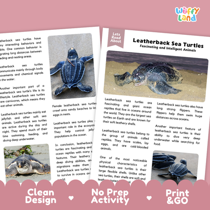A children's educational printout activity sheet titled 'Leatherback Sea Turtles' with text blocks, two inset photos of sea turtles, and a 'Lets Read About' panel. The sheet is shown on a white background with a 'Wiffly Land' logo in the top right corner.
