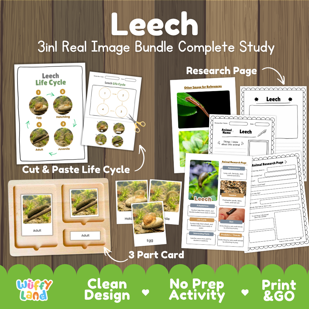Leech 3-in-1 real image bundle complete study cover showing cut and paste life cycle, 3 part cards, and research pages