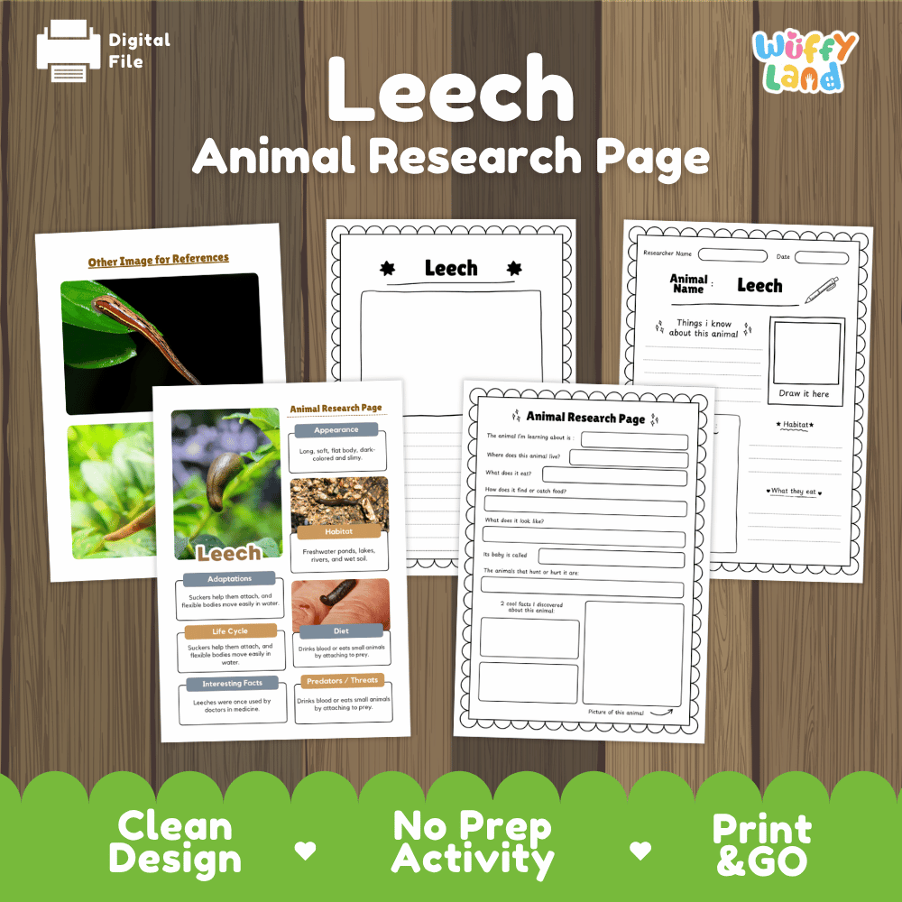 Leech Animal Research Project Worksheets and Fact Sheet Activity Pages