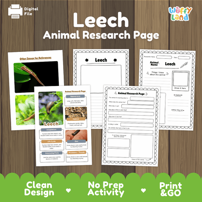 Leech Animal Research Project Worksheets and Fact Sheet Activity Pages