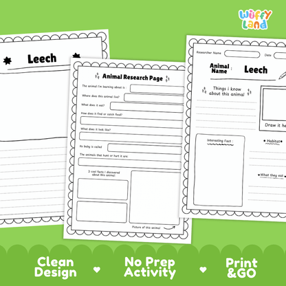 Leech Animal Research Project Worksheets and Fact Sheet Activity Pages
