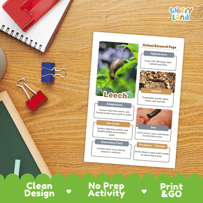Leech Animal Research Project Worksheets and Fact Sheet Activity Pages