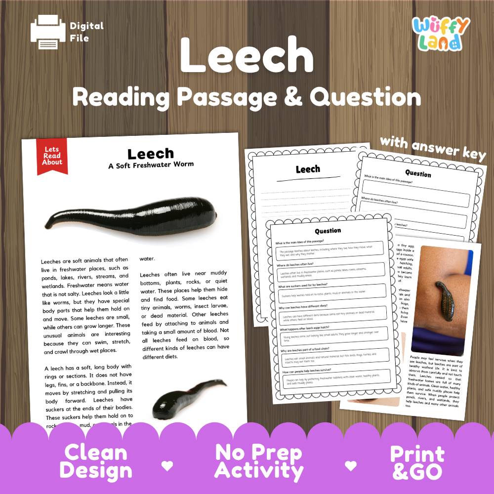 Leech Reading Passage and Questions Worksheets with Answer Key