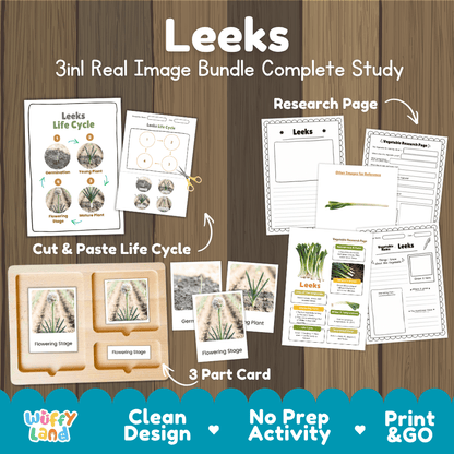 Leeks 3in1 real image bundle complete study printable featuring life cycle cut and paste worksheets, Montessori 3-part cards, and research pages