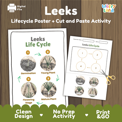 Leeks plant life cycle educational printable pack cover showing visual reference poster and cut and paste sequencing worksheet with real photography