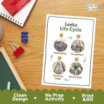 Hands-on cut and paste science worksheet for students to cut real photo tokens and sequence leek growth stages onto numbered circles