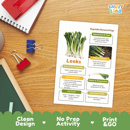 Leeks Vegetable Research Activity Worksheet Science Plant Parts Wales National