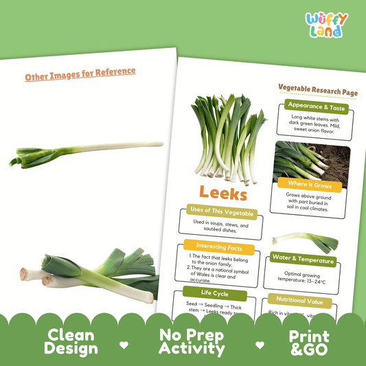 Leeks Vegetable Research Activity Worksheet Science Plant Parts Wales National