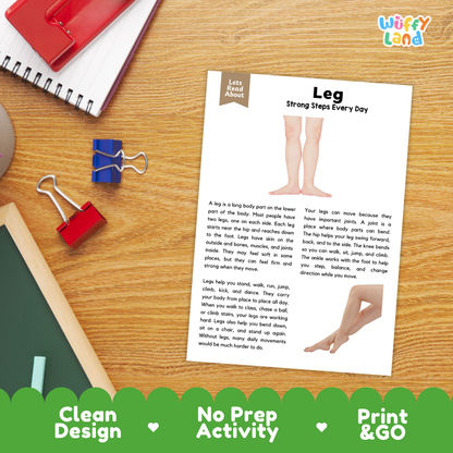 Student reading comprehension worksheet with short-answer questions and lined sections about the human leg