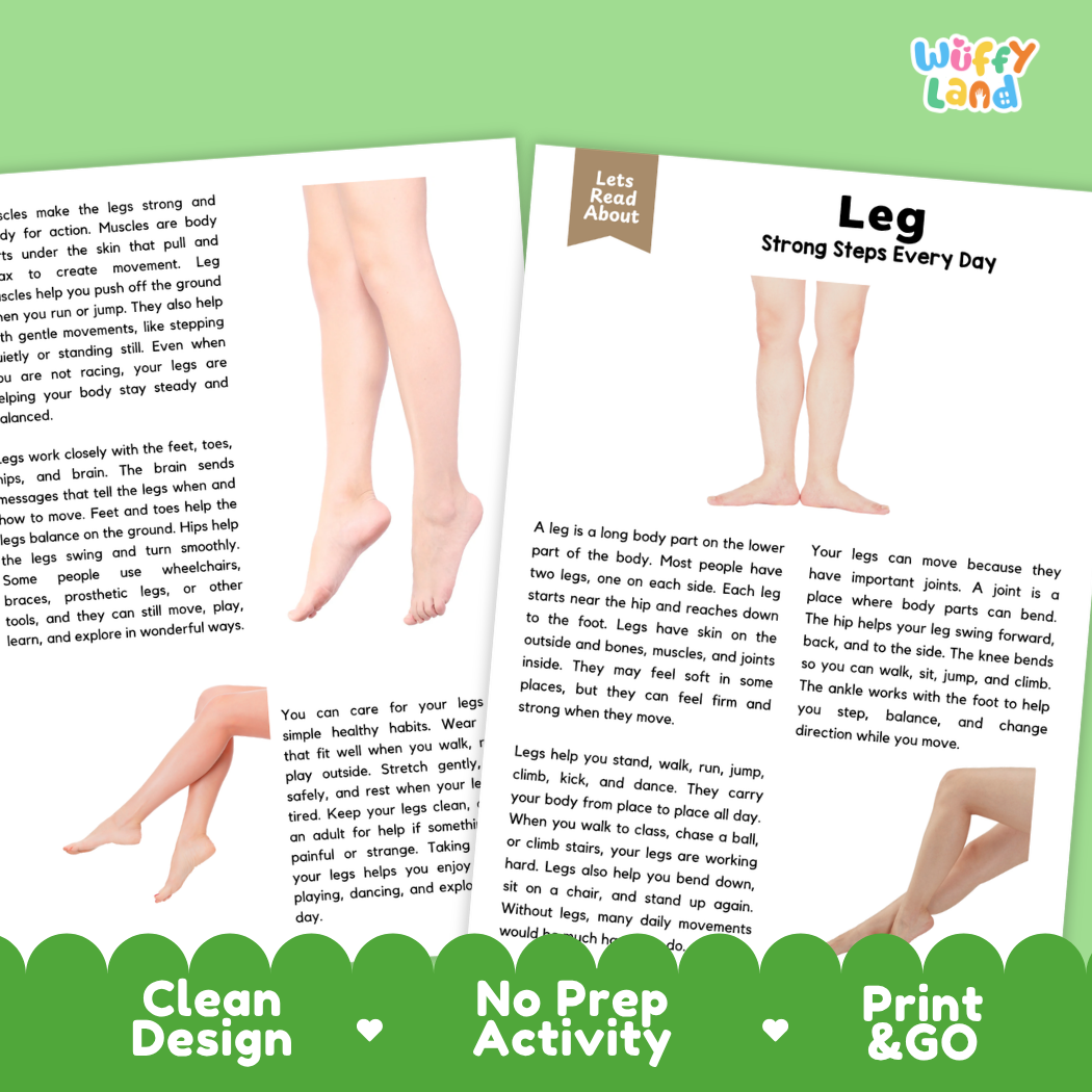 Teacher answer key page showing complete question solutions for Leg human body reading comprehension practice