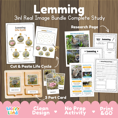 Lemming 3-in-1 real image bundle complete study cover showing cut and paste life cycle, 3 part cards, and research pages