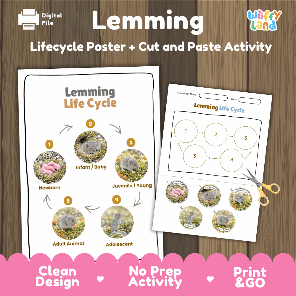 Lemming Life Cycle Poster and Cut and Paste Worksheet Activity