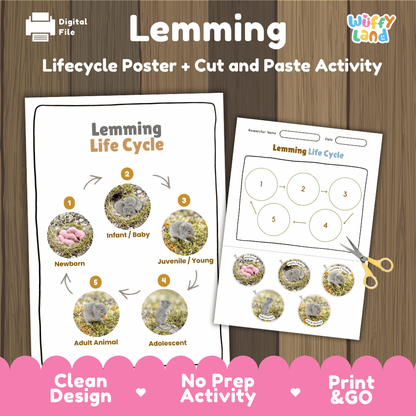 Lemming Life Cycle Poster and Cut and Paste Worksheet Activity