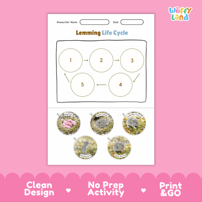 Lemming Life Cycle Poster and Cut and Paste Worksheet Activity
