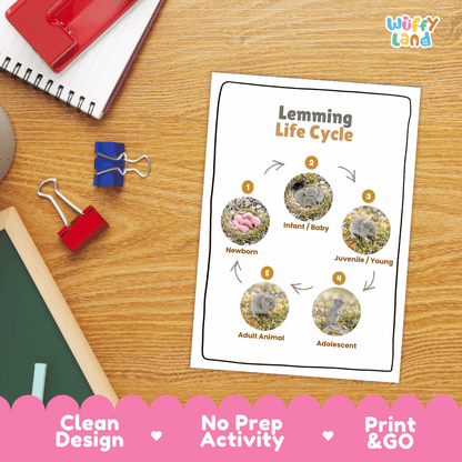Lemming Life Cycle Poster and Cut and Paste Worksheet Activity