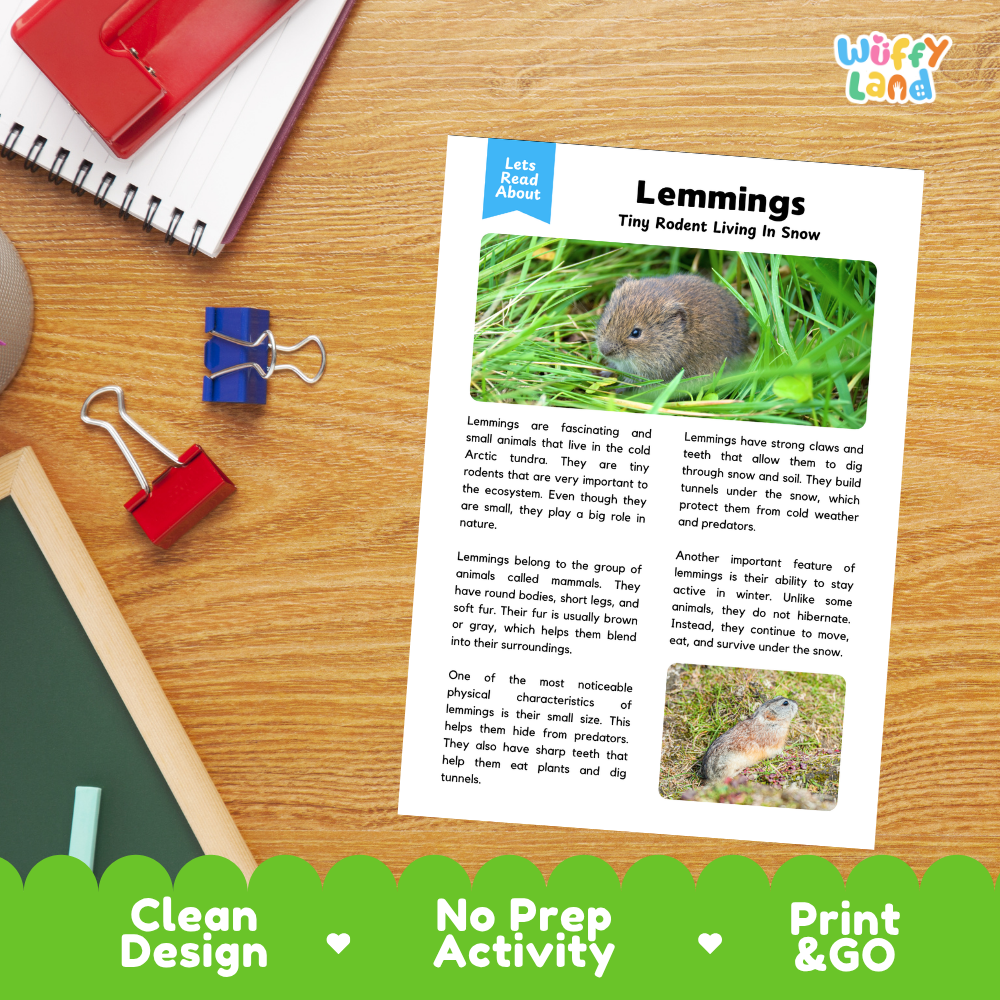 Lemmings Reading Passage and Questions Worksheets with Answer Key