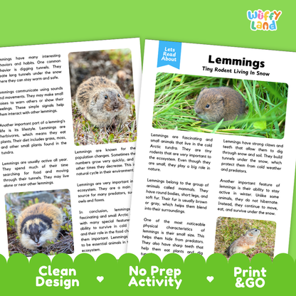 Lemmings Reading Passage and Questions Worksheets with Answer Key