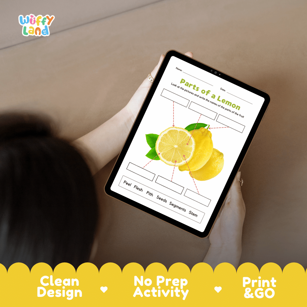 Educational cut and paste lemon fruit anatomy worksheet with printable word cutout tiles for peel, flesh, pith, segments, stem, and seeds