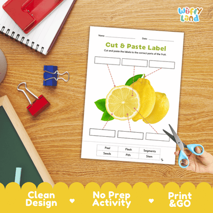 Printable plant biology worksheet showing sliced and whole lemons with blank labeling boxes and a vocabulary word bank for writing practice