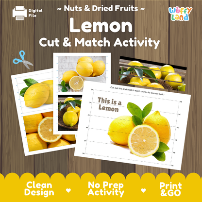 Lemon cut and match activity cover showing printable fine motor puzzle sheets and citrus photographs