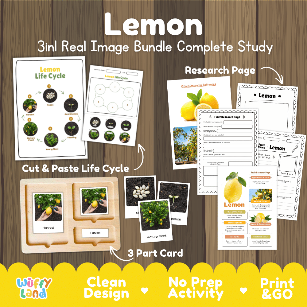 Complete Lemon 3-in-1 real image study bundle featuring cut and paste worksheets, Montessori 3-part cards, and research pages 🍋🌱