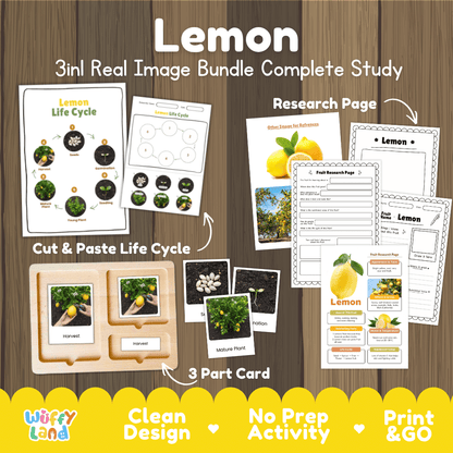 Complete Lemon 3-in-1 real image study bundle featuring cut and paste worksheets, Montessori 3-part cards, and research pages 🍋🌱
