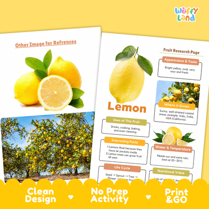 Lemon Fruit Research Page Worksheets Plant Science Activity