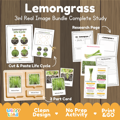 Lemongrass plant 3in1 real image bundle complete study printable featuring life cycle cut and paste worksheets, Montessori 3-part cards, and research pages