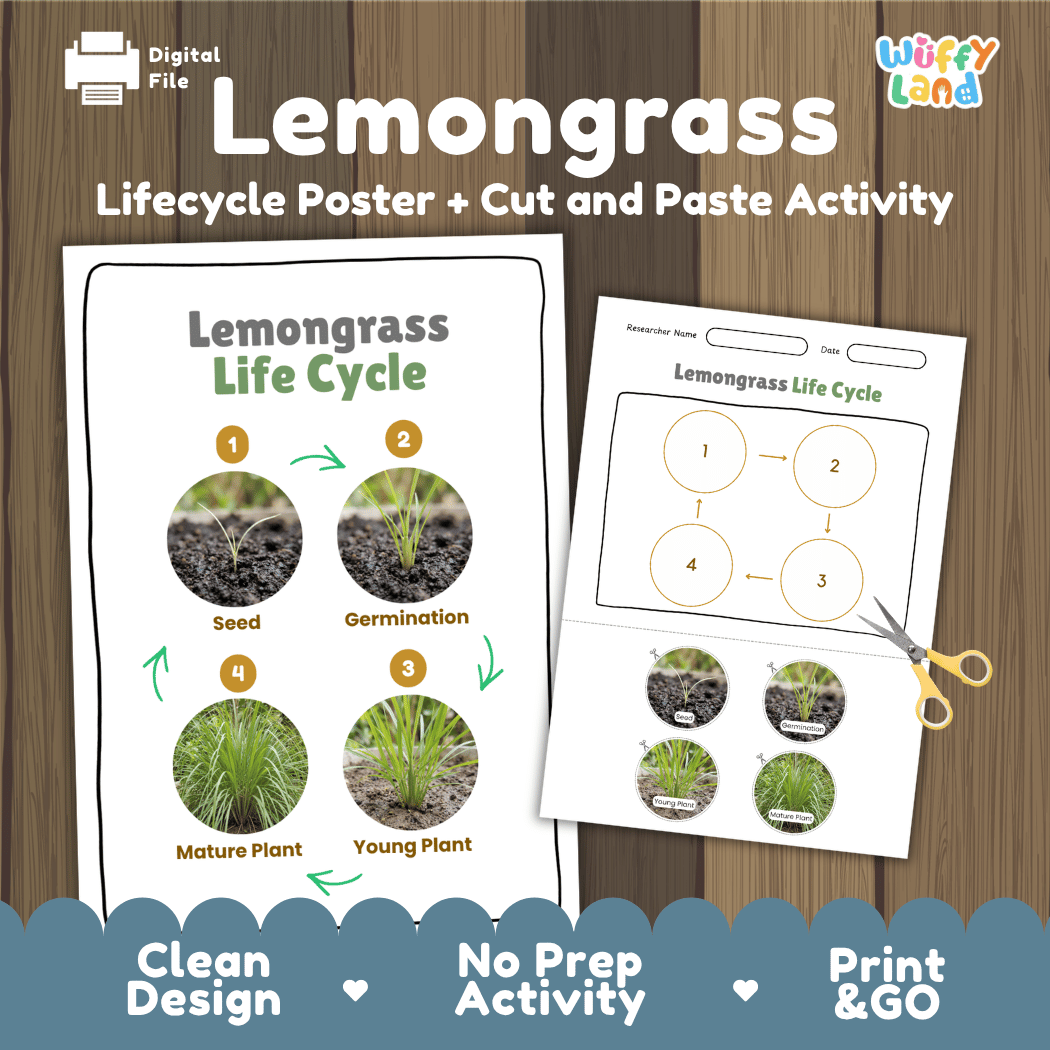 Lemongrass Life Cycle Poster and Cut and Paste Worksheet Activity