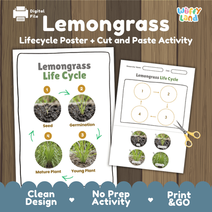 Lemongrass Life Cycle Poster and Cut and Paste Worksheet Activity
