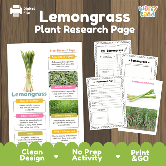 Student plant research page writing worksheets with real close up fresh culinary lemongrass stalks and grassy garden clumps, lined note-taking prompts, and drawing frames