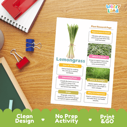 Lemongrass Plant Research Page Worksheets and Fact Sheet