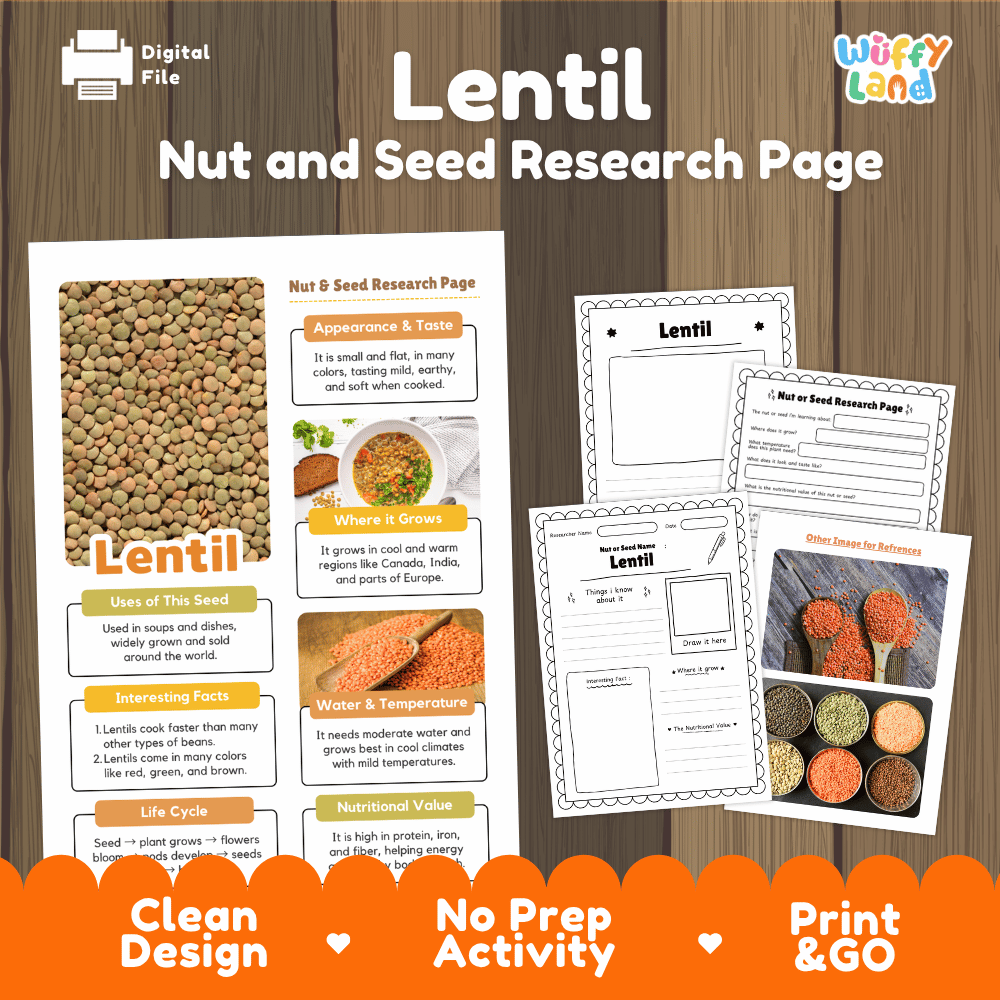 Lentil Nut and Seed Research Page Worksheets and Fact Sheet