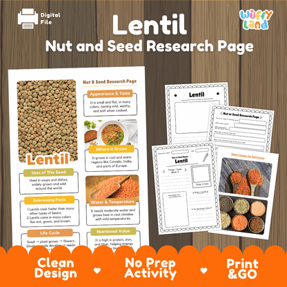 Lentil Nut and Seed Research Page Worksheets and Fact Sheet