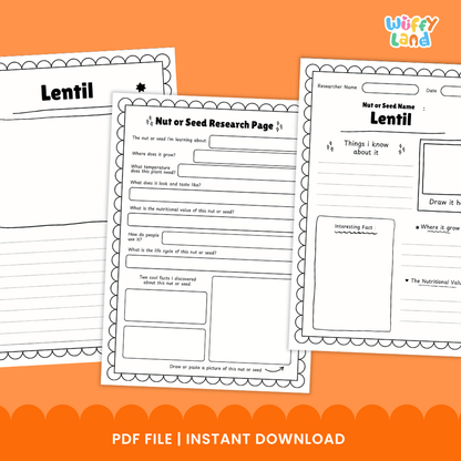 Lentil Nut and Seed Research Page Worksheets and Fact Sheet