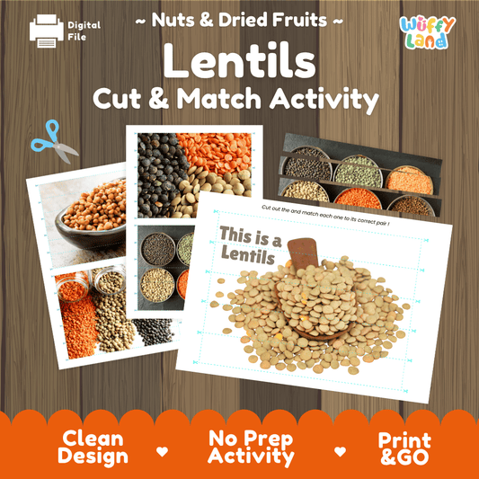 Lentils Cut and Match Activity Worksheets | Nuts and Dried Fruits Puzzle Printables