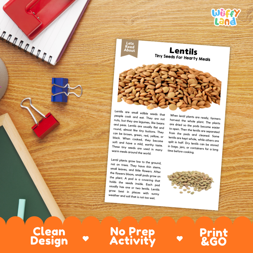 Lentils Reading Passage and Comprehension Questions Worksheets with Answer Key