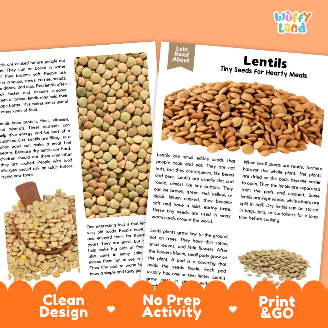 Lentils Reading Passage and Comprehension Questions Worksheets with Answer Key
