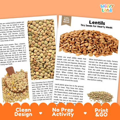 Lentils Reading Passage and Comprehension Questions Worksheets with Answer Key
