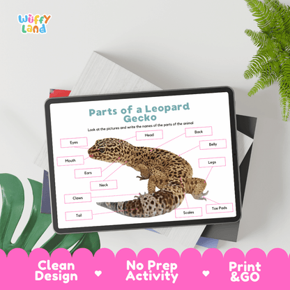 Hands-on leopard gecko anatomy cut and paste worksheet with printable word tags, callout pointer lines, and scissors graphic