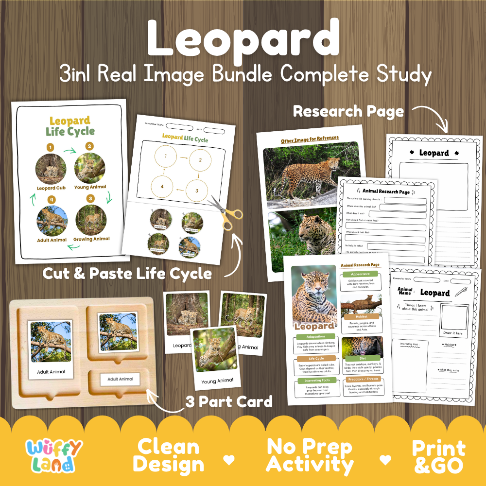 Leopard 3-in-1 real image bundle complete study cover showing cut and paste life cycle, 3 part cards, and research pages