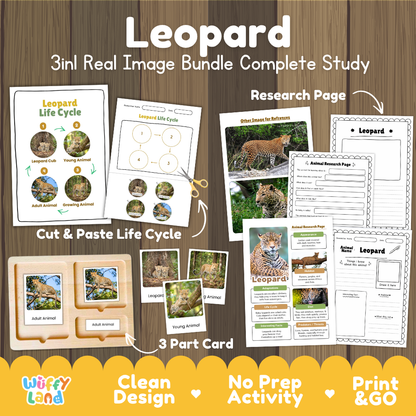 Leopard 3-in-1 real image bundle complete study cover showing cut and paste life cycle, 3 part cards, and research pages