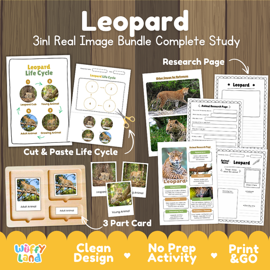 Leopard 3-in-1 real image bundle complete study cover showing cut and paste life cycle, 3 part cards, and research pages