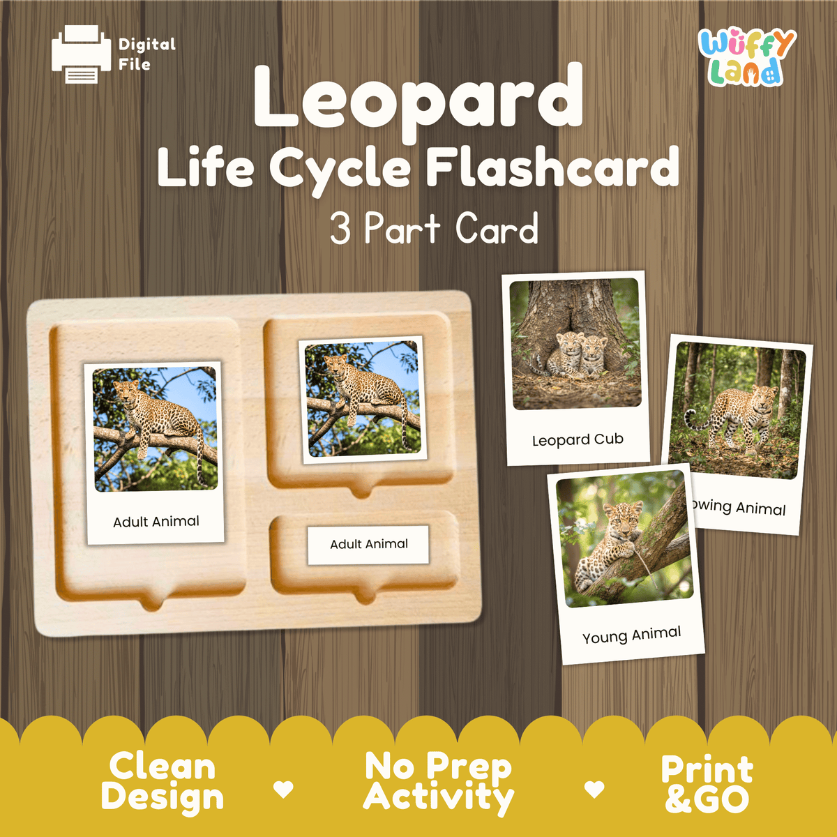 Montessori 3-part photo cards for leopard life cycle shown on wooden tray paired with animal research report worksheets and reference photo page